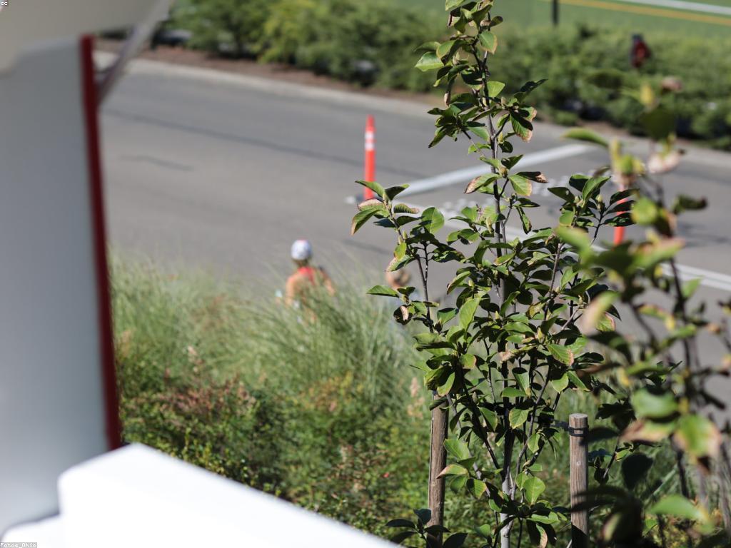 យុទ្ធសាស្ត្រសម្រាប់ស្លតបញ្ចុះតម្លៃ